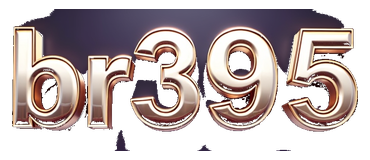 br395 logo